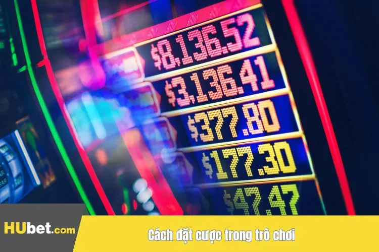 Cách đặt cược trong trò chơi