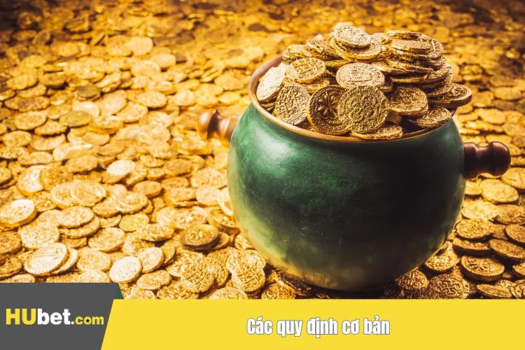 Các quy định cơ bản